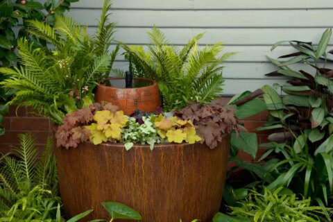 Como fazer um recurso impressionante de água de nível múltiplo