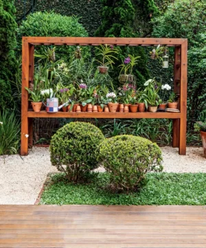 Como Montar um Cantinho de Orquídeas em Casa