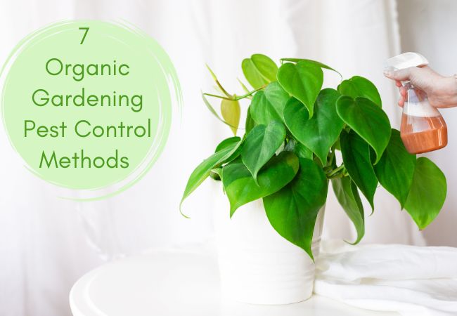 7 Organic Gardening Pest Control Methods