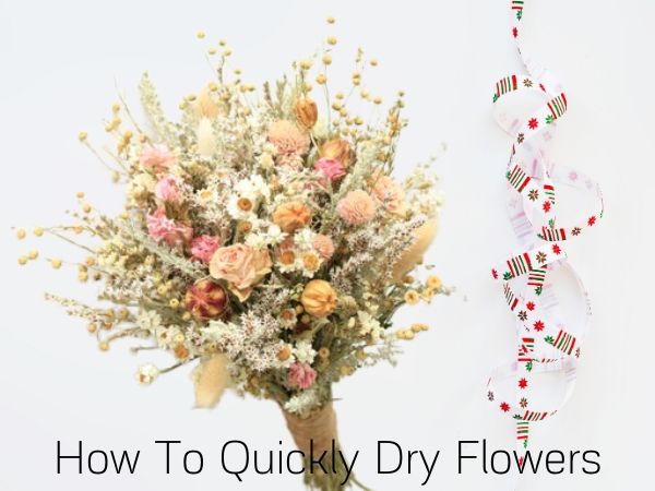 How To Quickly Dry Flowers DIY